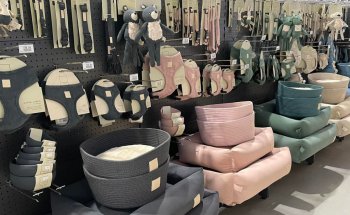 Petcare Byron Bay