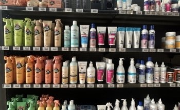 Petcare Byron Bay