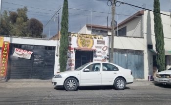 acuario y pet store hakuna pets amazonas