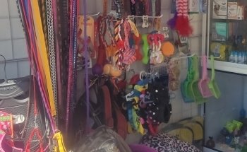 acuario y pet store hakuna pets amazonas