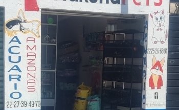 acuario y pet store hakuna pets amazonas