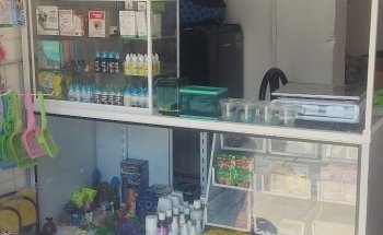 acuario y pet store hakuna pets amazonas