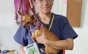 Acuario y Estética Canina/felina - Ecolarea