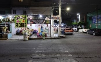 Acuario y Estética Canina/felina - Ecolarea