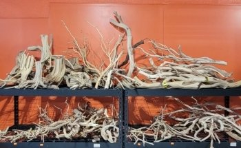 Acuario Super Red Land