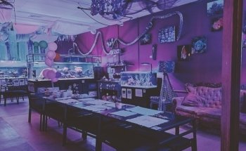 The Mermaids Cave