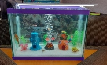 Acuario Capital Fish Celaya