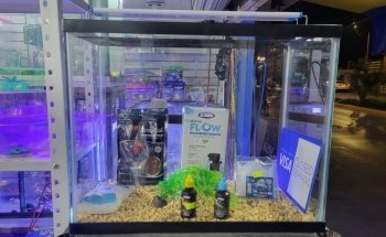 Pet Shop Aquarium