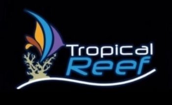 Tropical Reef