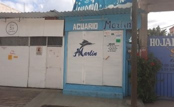 Acuario Marlin