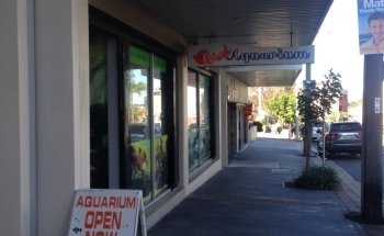 B & C Aquarium