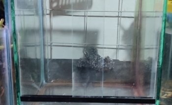 Pet-Xotic Aquarium