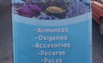Acuario Santa Rita