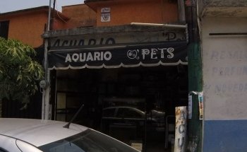 Acuario Q PET'S