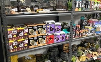 Reptarium