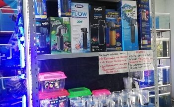 Acuario AquaZooe Apizaco