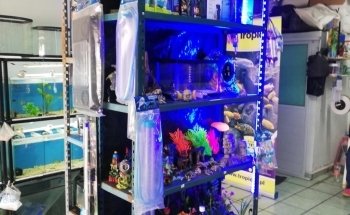 Acuario AquaZooe Apizaco