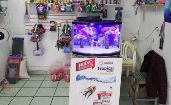 Acuario AquaZooe Apizaco