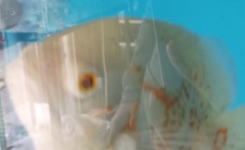 Acuario AquaZooe Apizaco