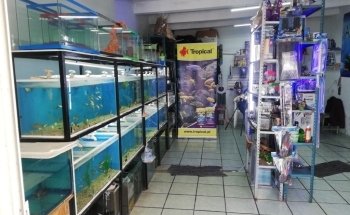 Acuario AquaZooe Apizaco