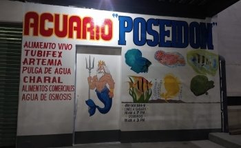 Acuario Poseidón