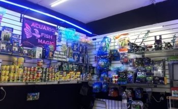 Acuario Pet Shop