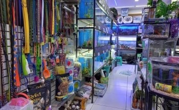 Acuario Pet Shop