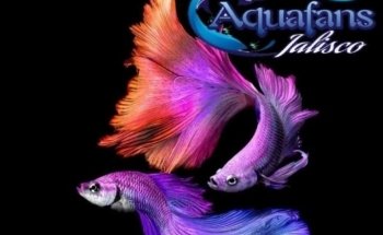 Aquafans Jalisco