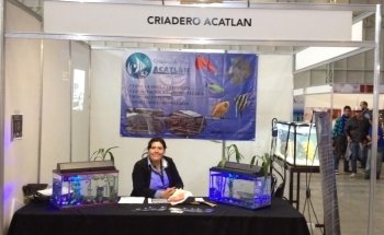 Criadero de Peces Acatlán
