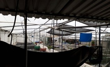 Criadero de Peces Acatlán