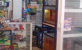 Toys Acuario