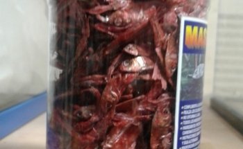 Toys Acuario