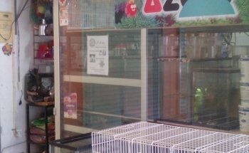 Toys Acuario