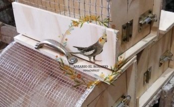 Aviario el rosario
