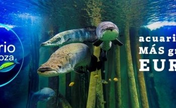 Aquarium River of Zaragoza