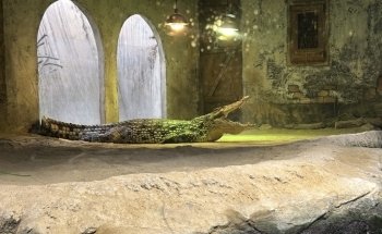 Aquarium River of Zaragoza