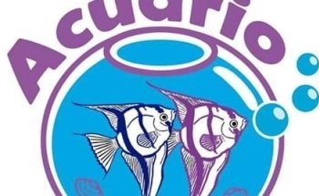 Acuario Lucia