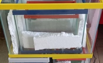 Peces de Acuario Valladolid