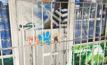 Acuario La Perla Negra