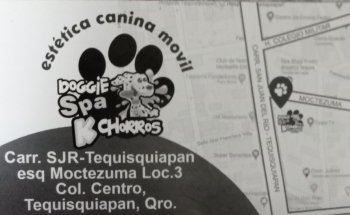Doggie Spa Kchorros
