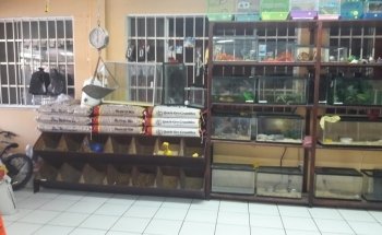 Granero y Acuario Junior