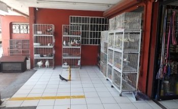 Granero y Acuario Junior