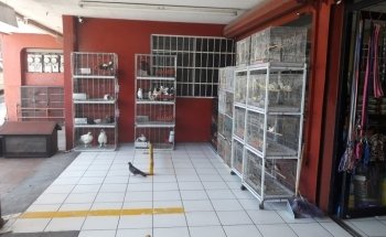 Granero y Acuario Junior