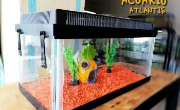 ACUARIO ATLANTIS