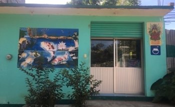 ACUARIO CHEKOS/VIVERO ACUÁTICO