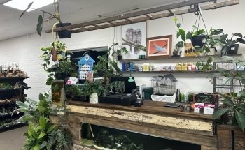 Cradle Coast Pet and Aquarium