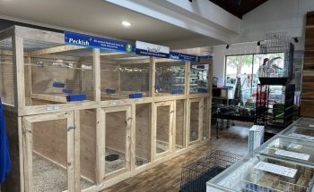 Cradle Coast Pet and Aquarium