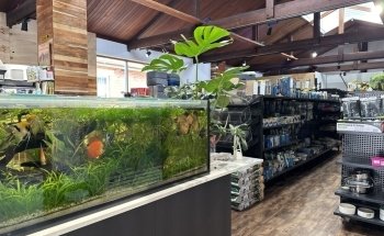 Cradle Coast Pet and Aquarium