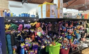 Cradle Coast Pet and Aquarium