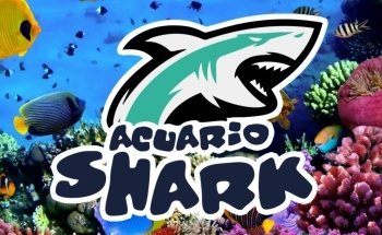 Shark Acuario